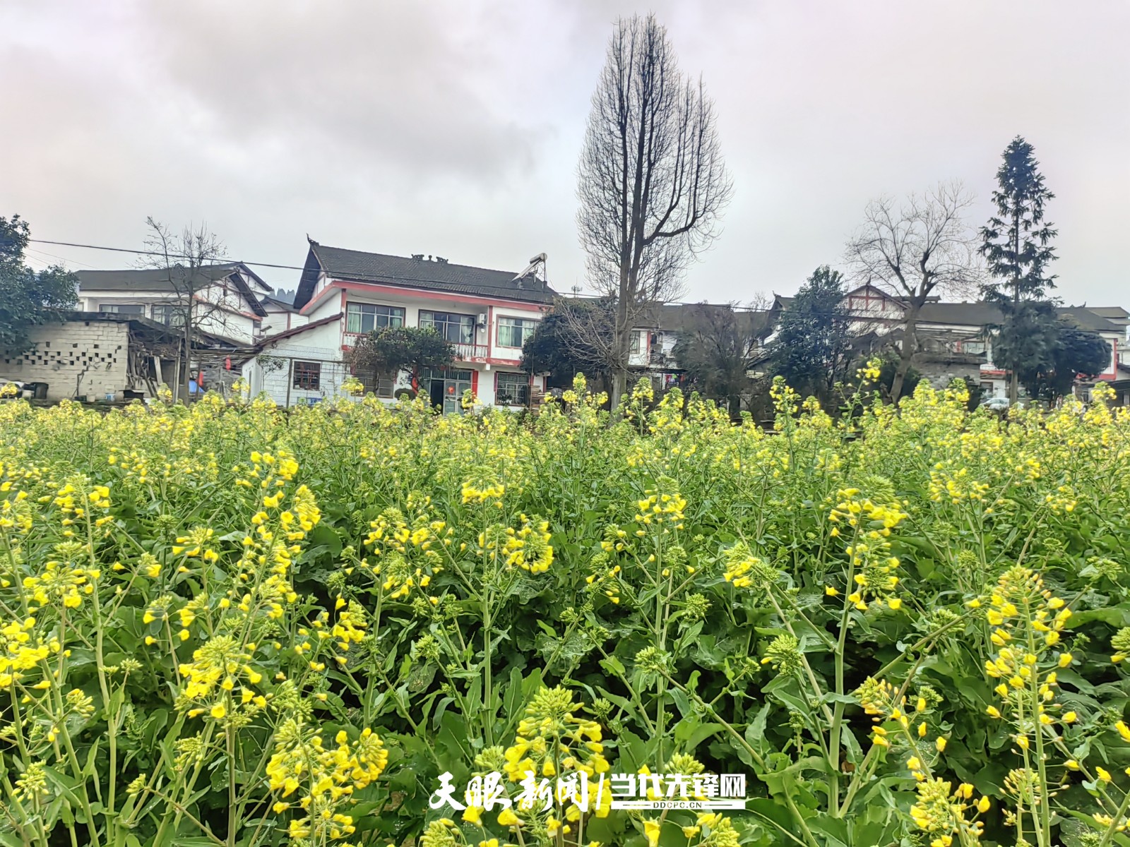 微信圖片_20250316171633.jpg